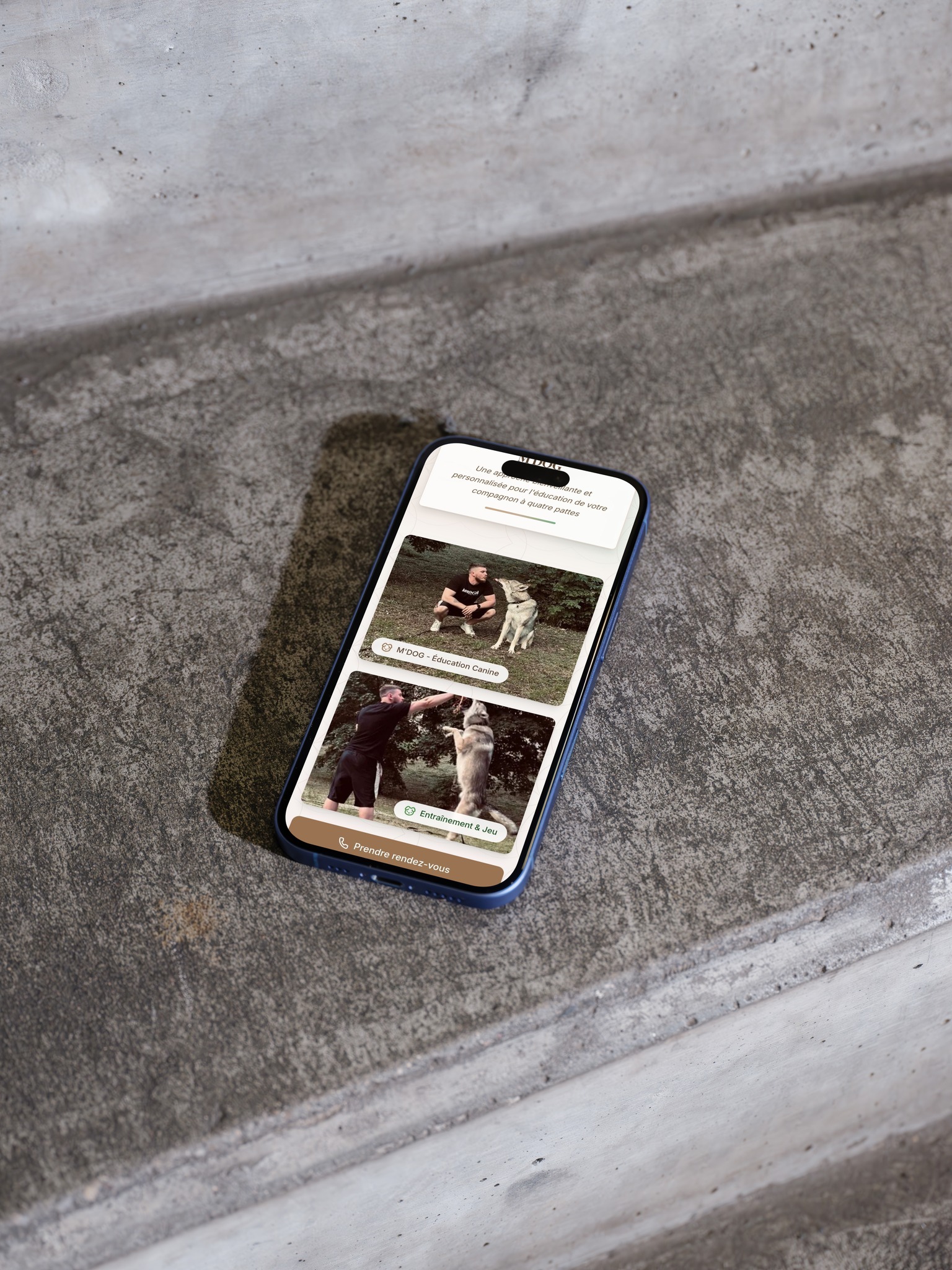 Aperçu du site MDog